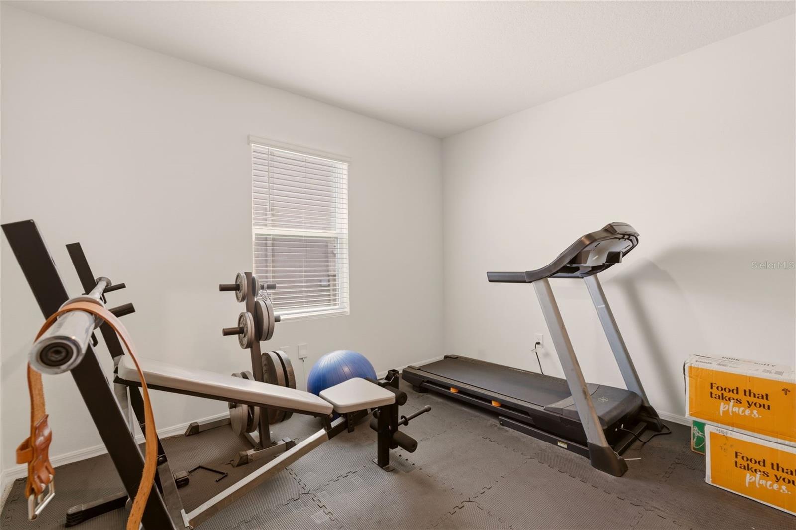 300 WINGED ELM DR, DEBARY, FL, 32713