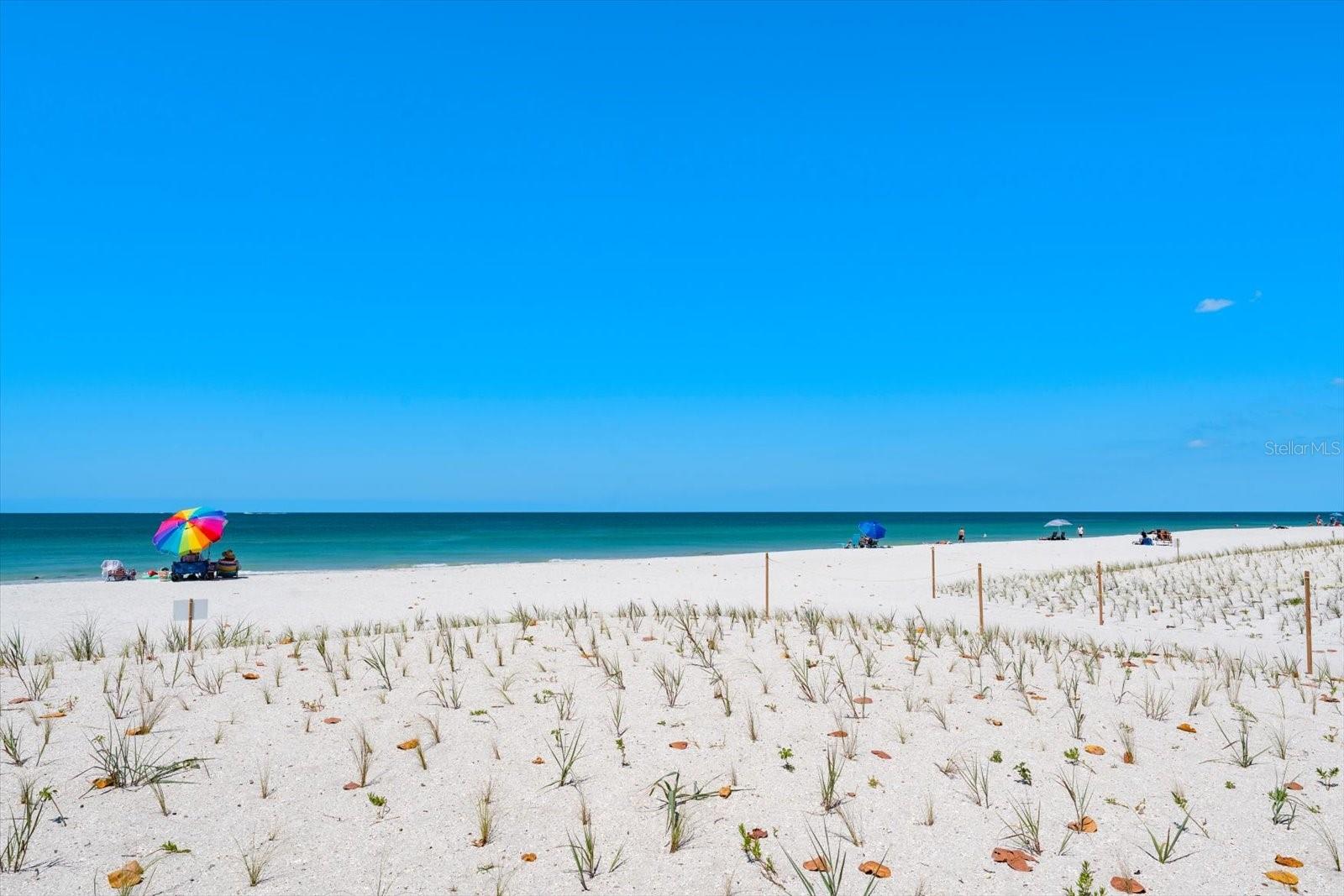 40 77TH AVE, TREASURE ISLAND, FL, 33706