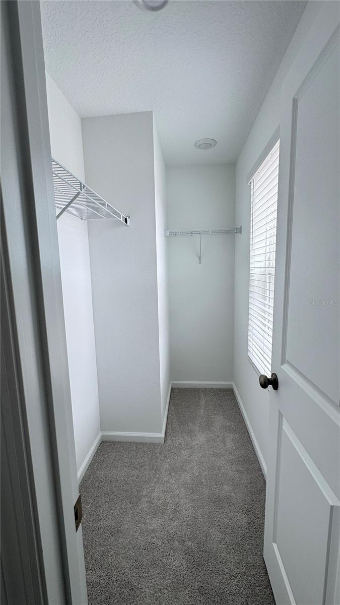 3141 BROOKHOLLOW WAY, MINNEOLA, FL, 34715