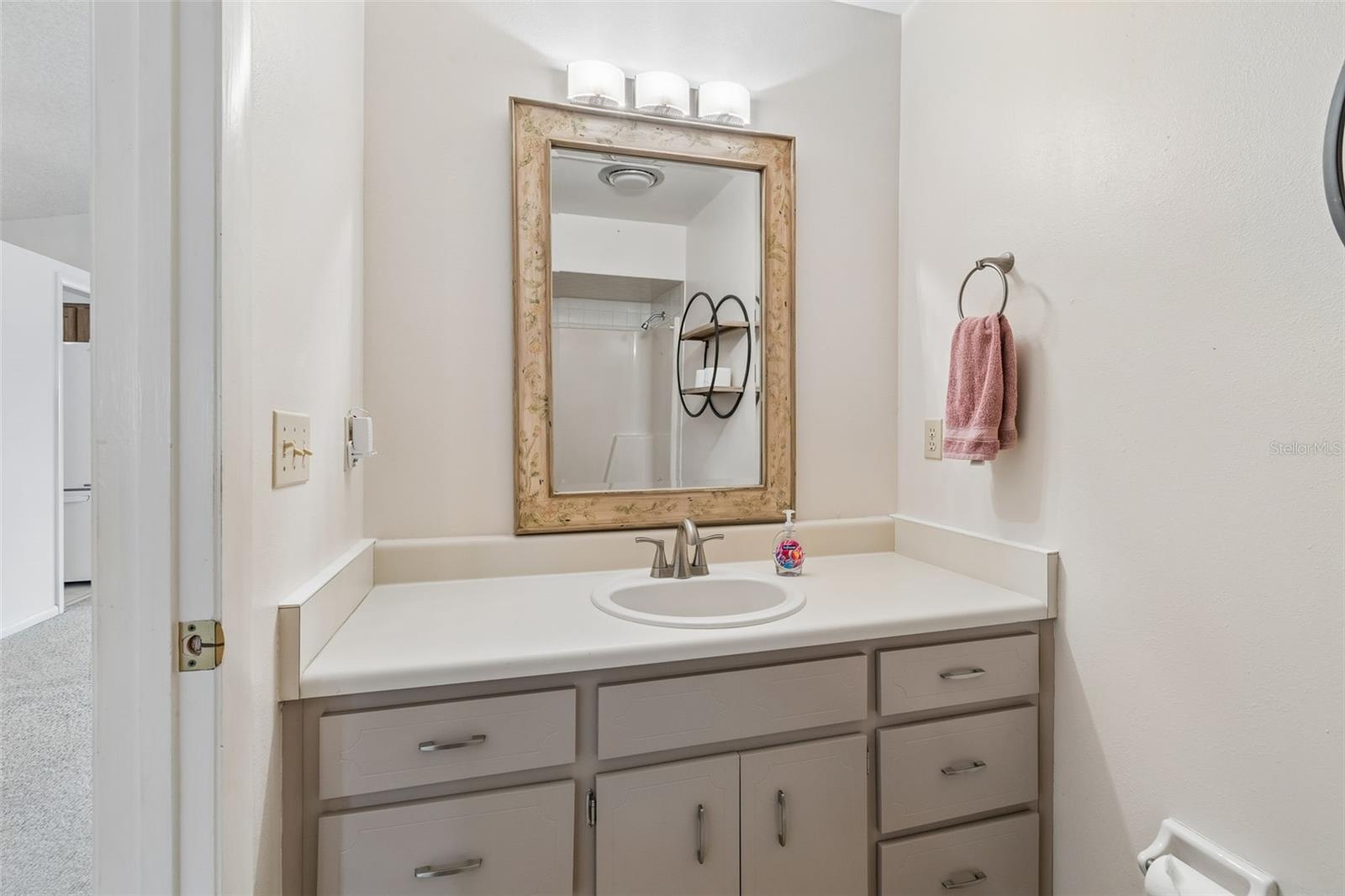 317 GREENWOODS DR, LAKELAND, FL, 33813