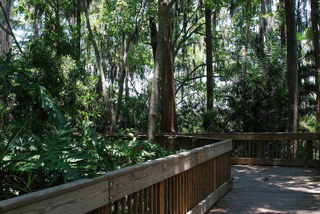 3333 MCMATH DR, PALM HARBOR, FL, 34684