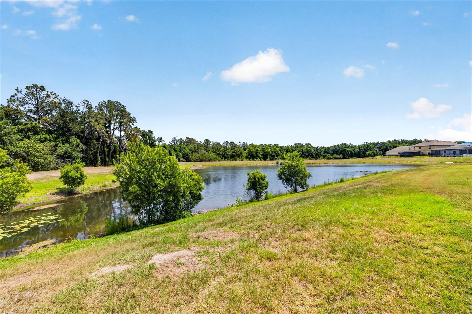 13410 LAKEVIEW OAKS LN, RIVERVIEW, FL, 33579