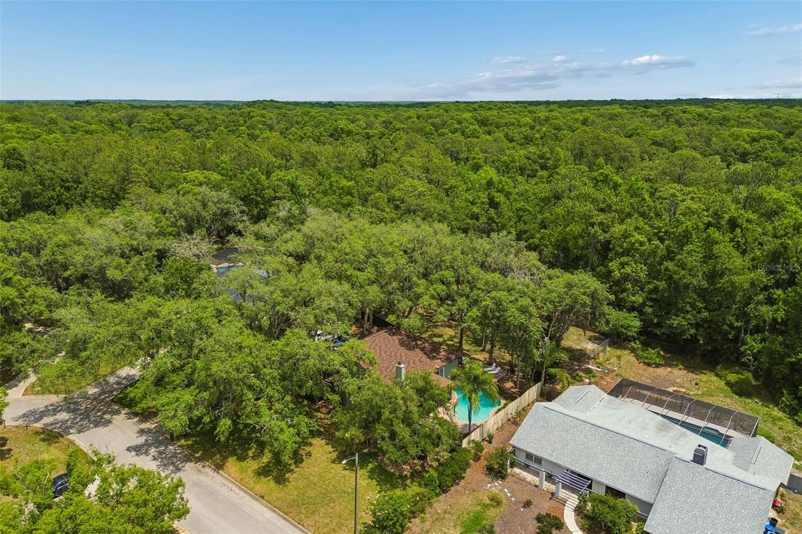 2525 VICTARRA CIR, LUTZ, FL, 33559