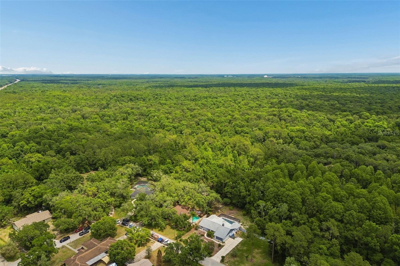 2525 VICTARRA CIR, LUTZ, FL, 33559