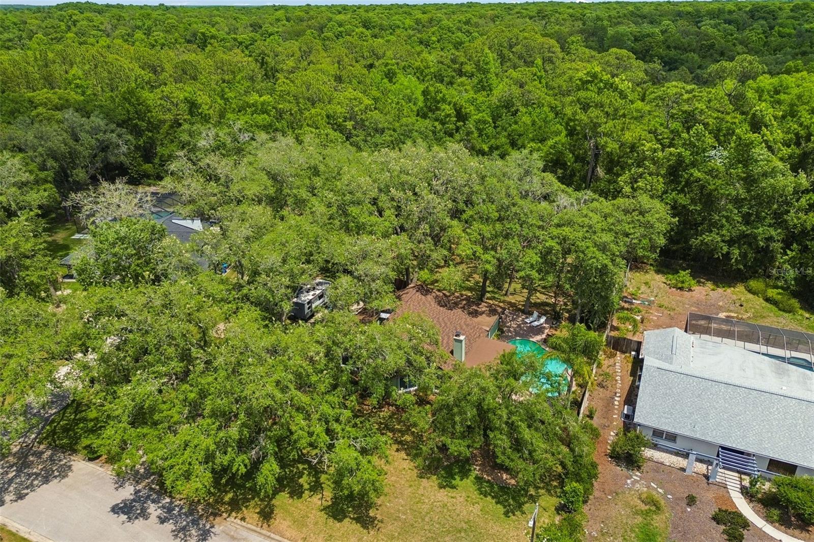 2525 VICTARRA CIR, LUTZ, FL, 33559