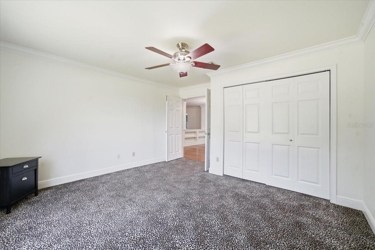 3042 SAMARA DR, TAMPA, FL, 33618