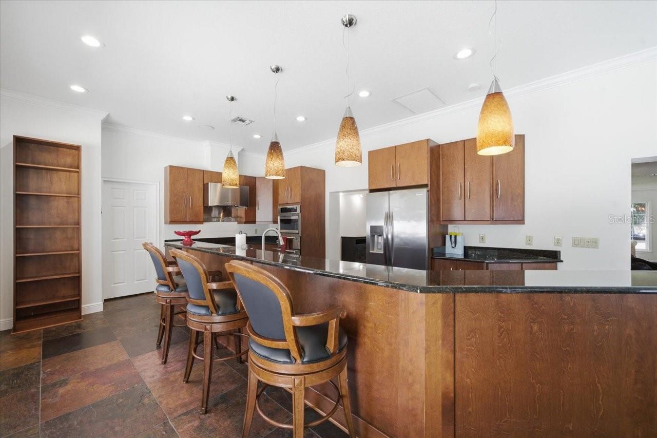 3042 SAMARA DR, TAMPA, FL, 33618