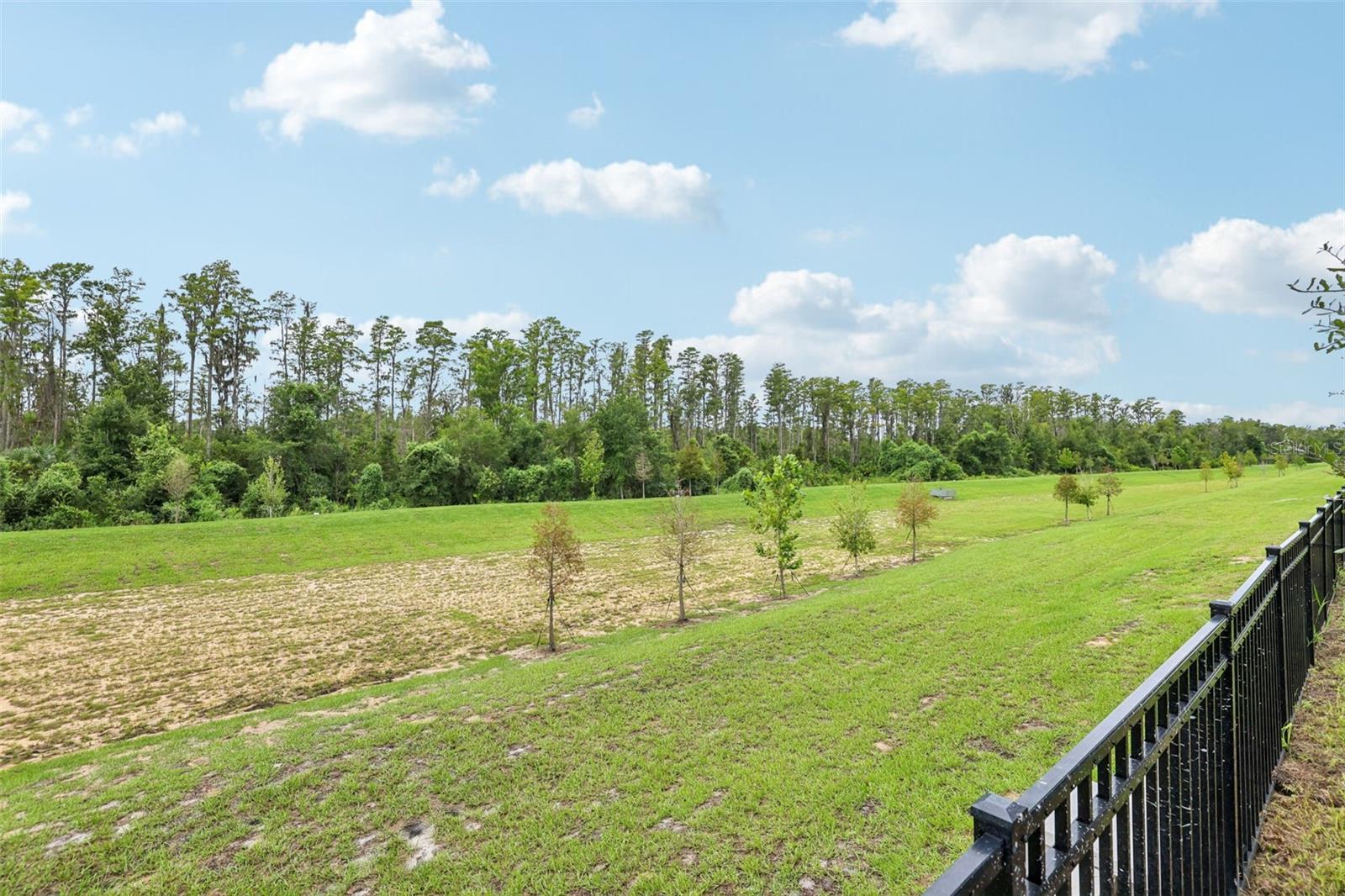 16321 BIRD OF PARADISE AVE, CLERMONT, FL, 34714