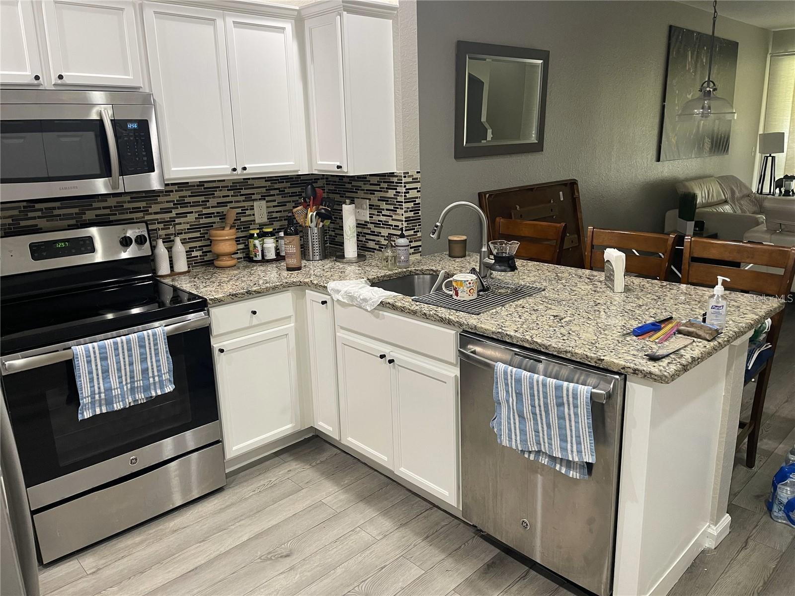 3016 ASHLAND LN S, KISSIMMEE, FL, 34741