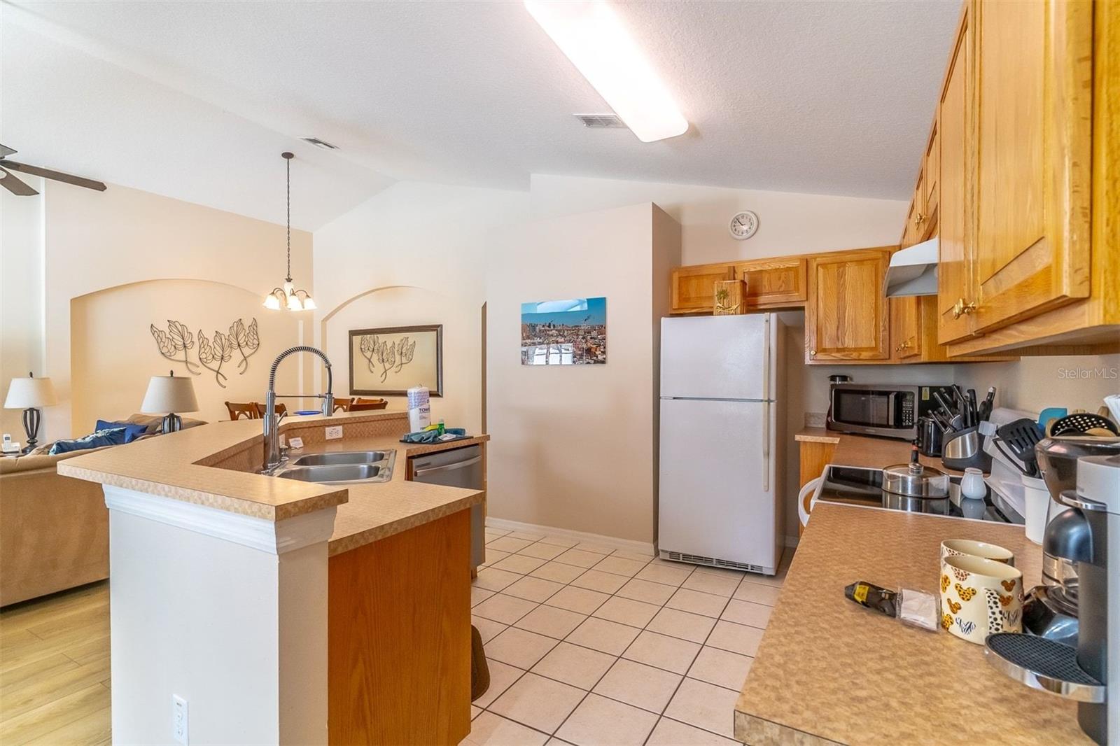 513 BALMORAL DR, DAVENPORT, FL, 33896