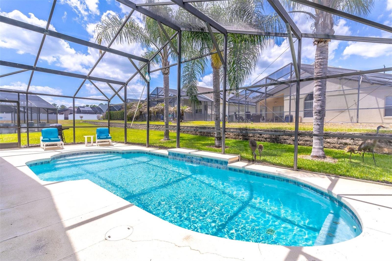 513 BALMORAL DR, DAVENPORT, FL, 33896