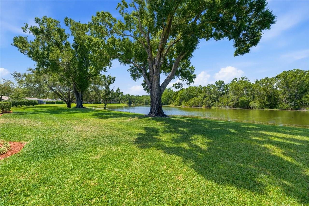 4326 MIDDLE LAKE DR, TAMPA, FL, 33624