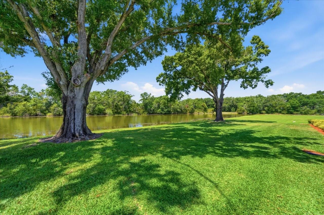 4326 MIDDLE LAKE DR, TAMPA, FL, 33624