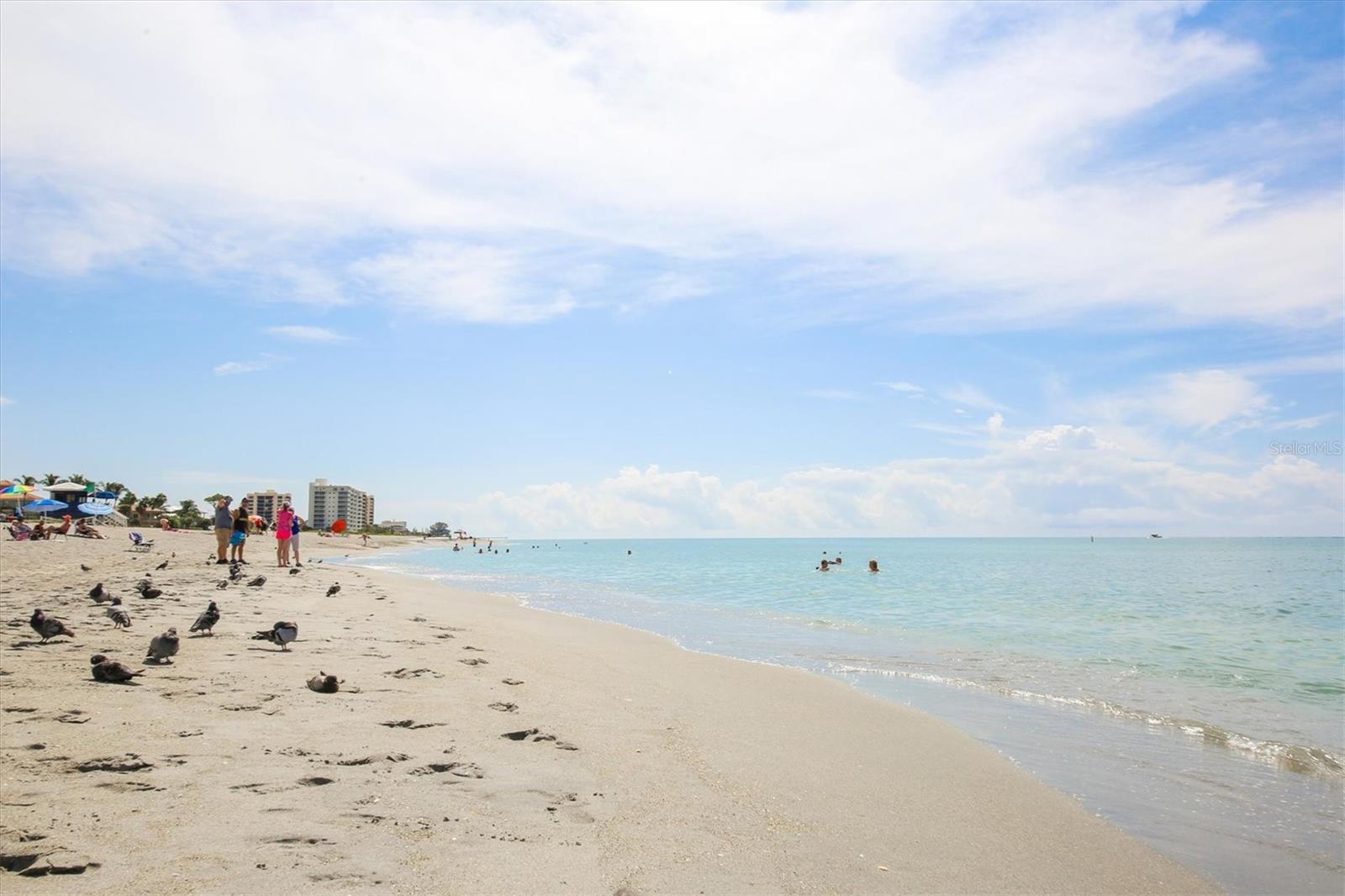 175 NOLEN DR, VENICE, FL, 34292
