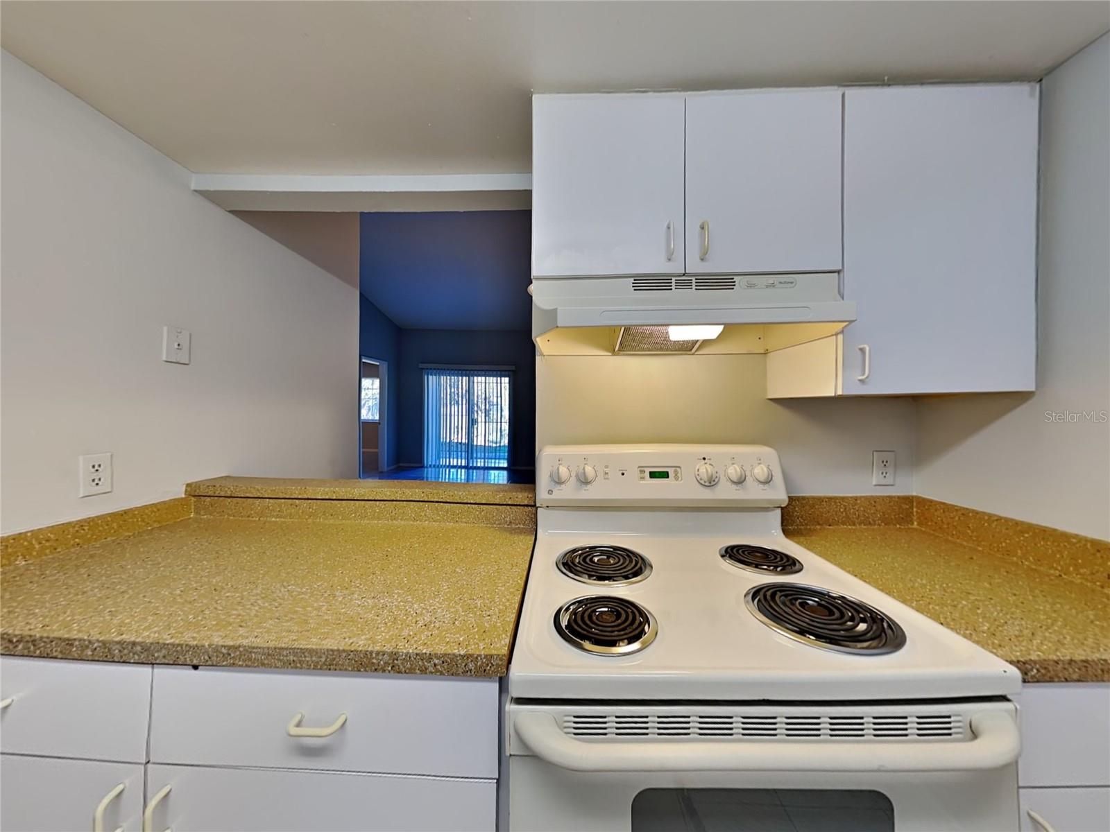 1913 TRUMAN RD, ORLANDO, FL, 32807