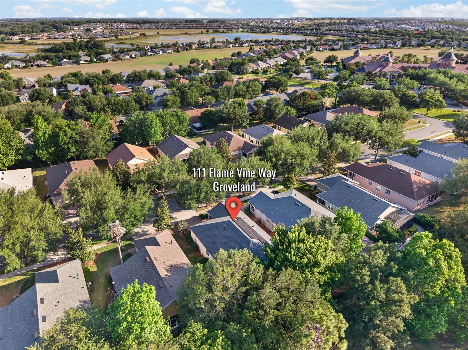 111 FLAME VINE WAY, GROVELAND, FL, 34736