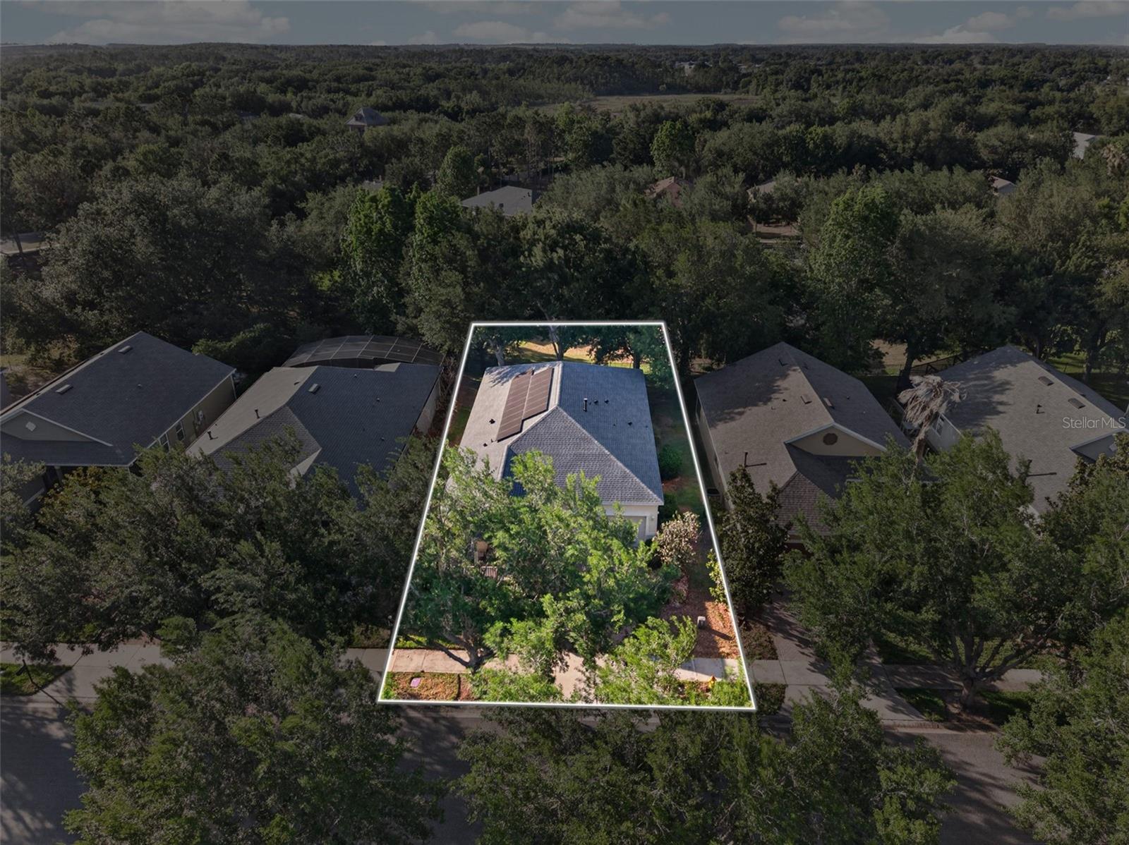 111 FLAME VINE WAY, GROVELAND, FL, 34736