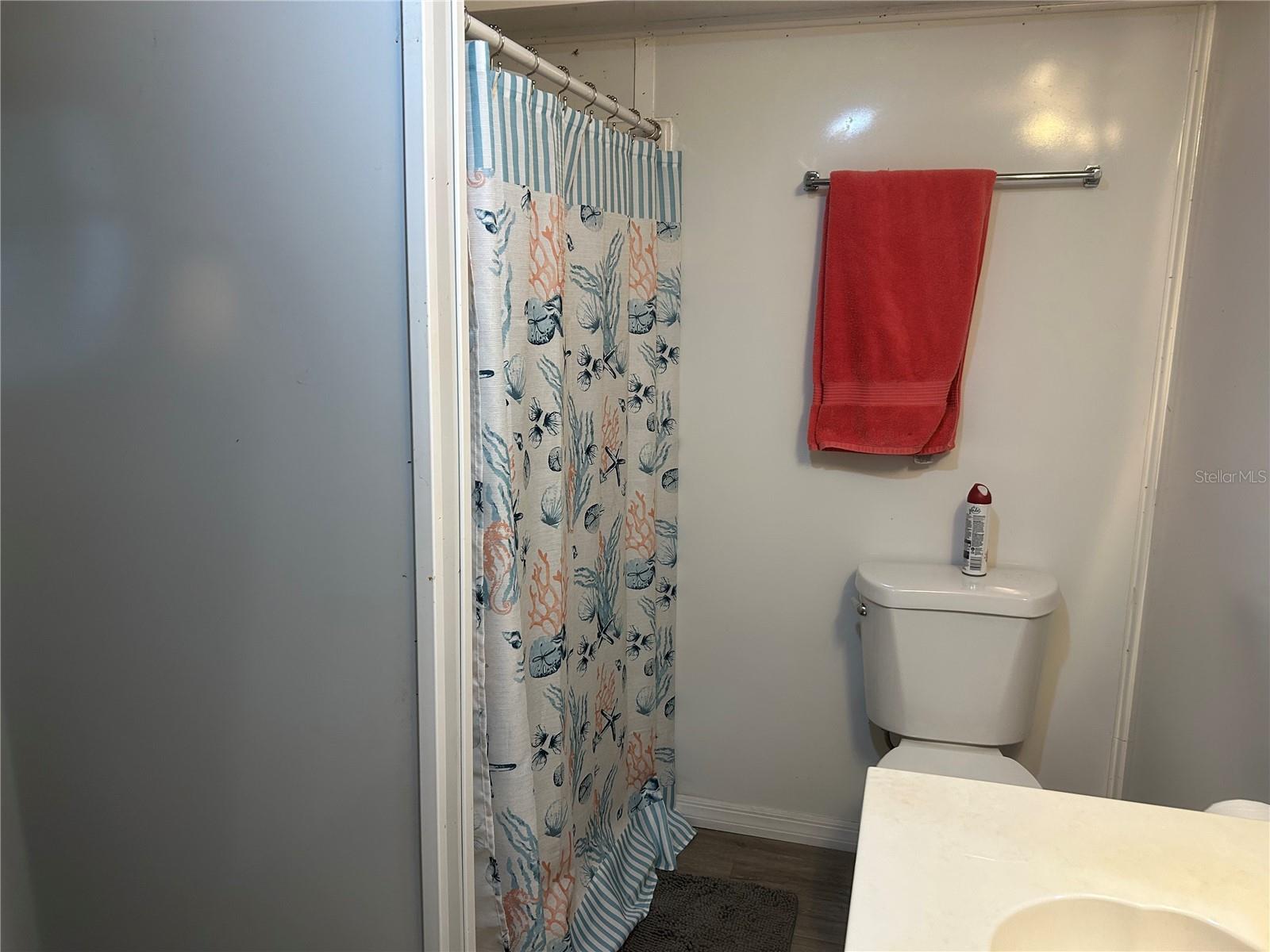55707 JAMIE DR, ASTOR, FL, 32102
