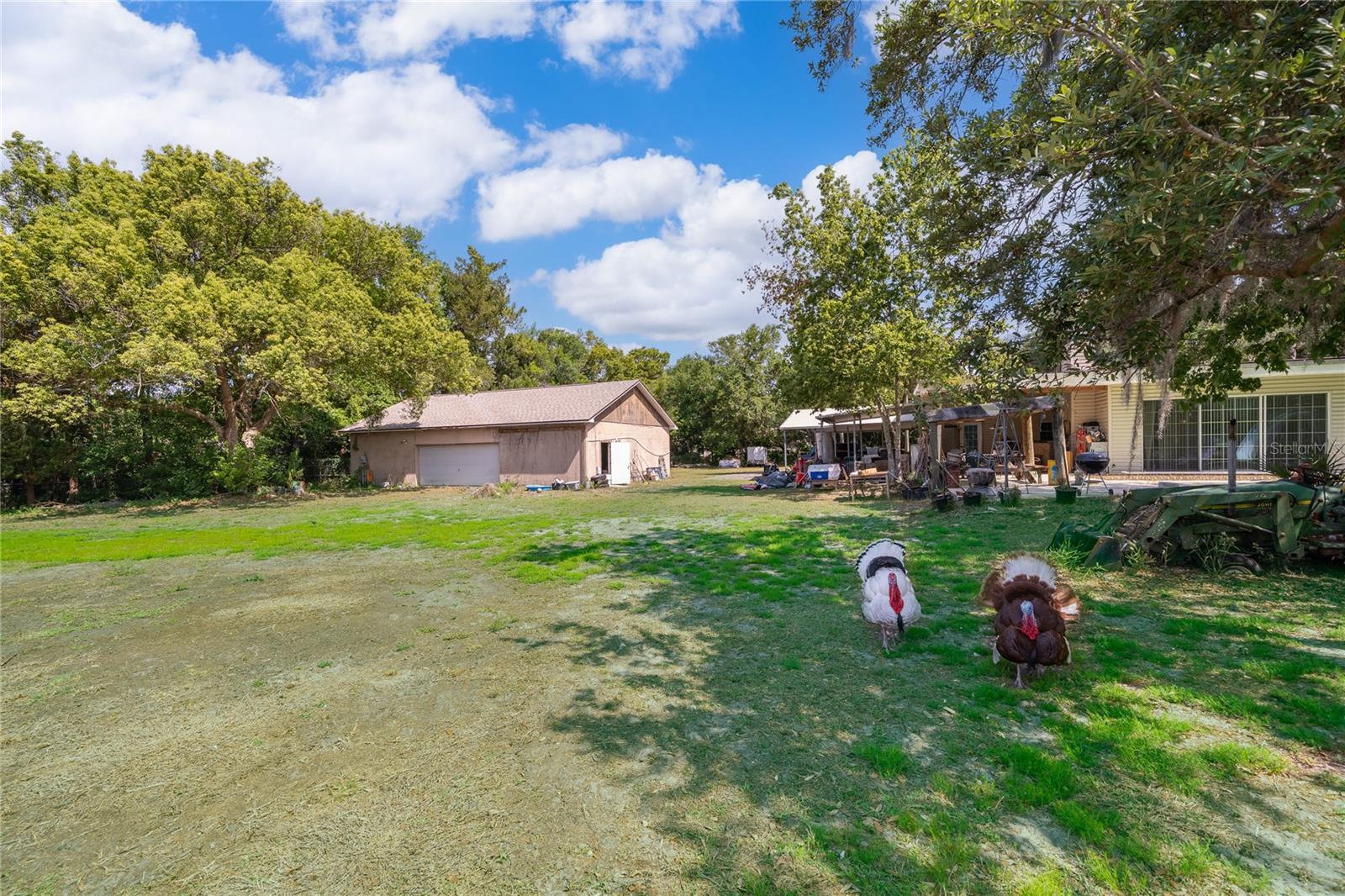 1281 NATURES WAY, WINTER SPRINGS, FL, 32708