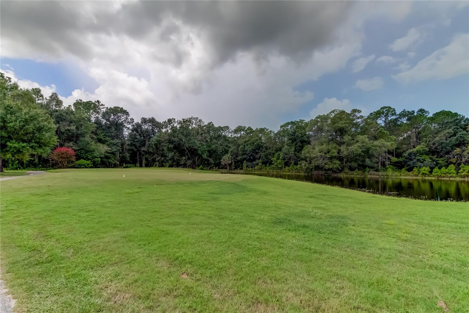 12943 ROYAL GEORGE AVE, ODESSA, FL, 33556