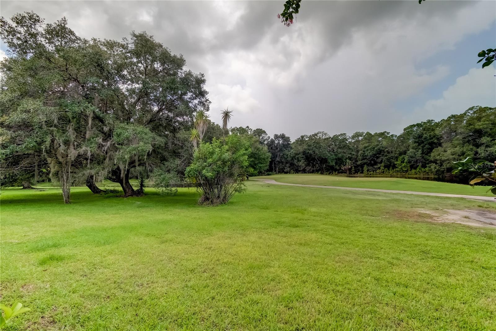 12943 ROYAL GEORGE AVE, ODESSA, FL, 33556