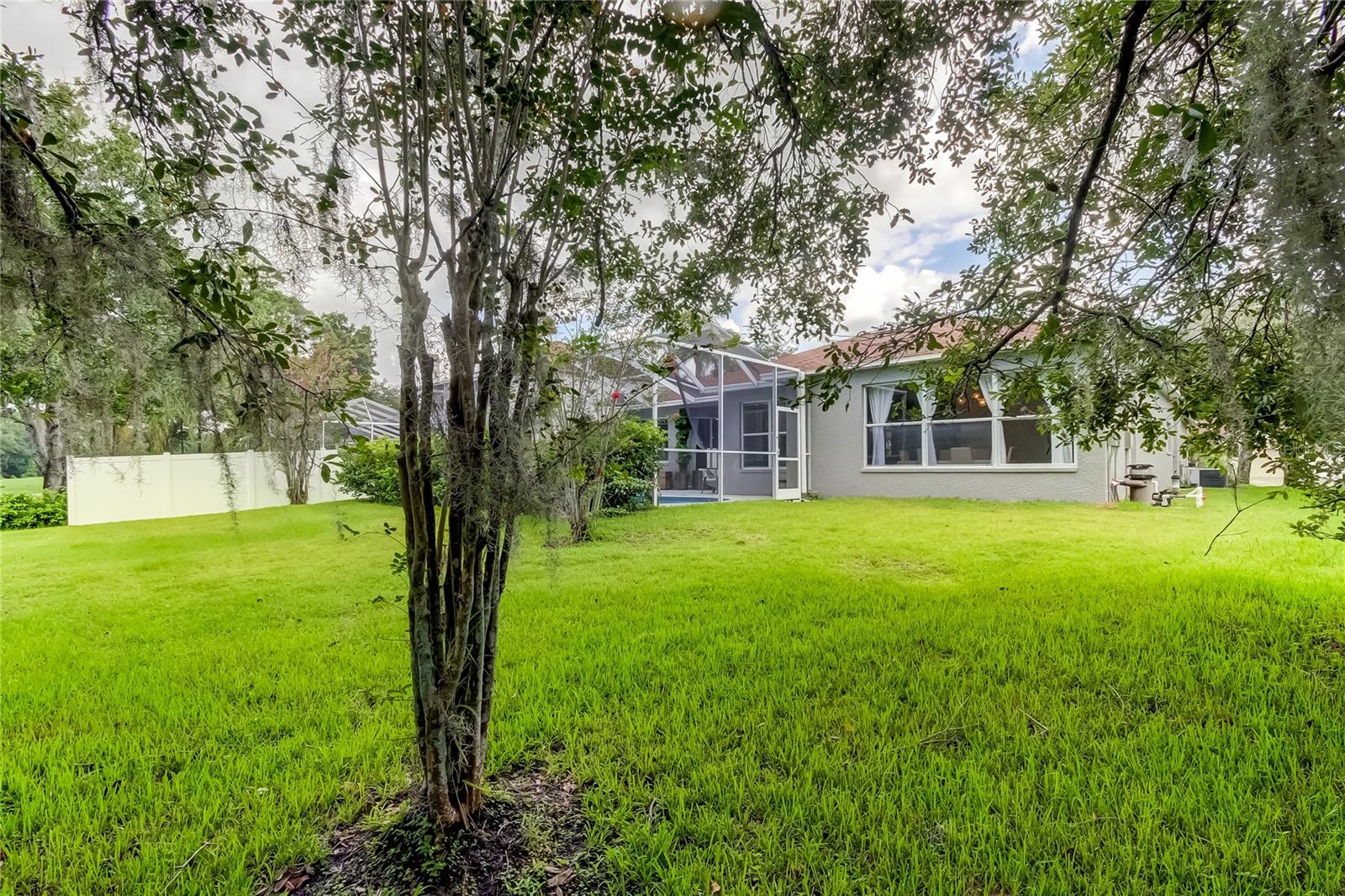 12943 ROYAL GEORGE AVE, ODESSA, FL, 33556