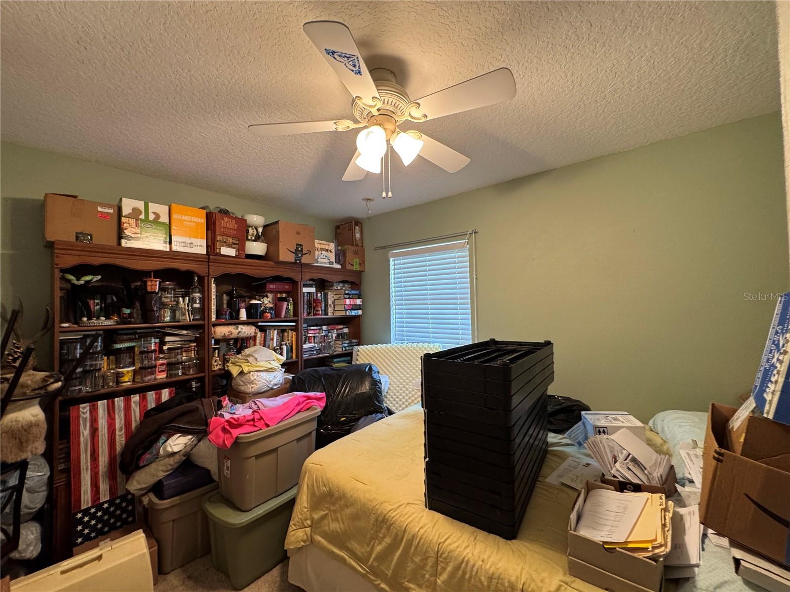 30542 APRICOT AVE, EUSTIS, FL, 32736