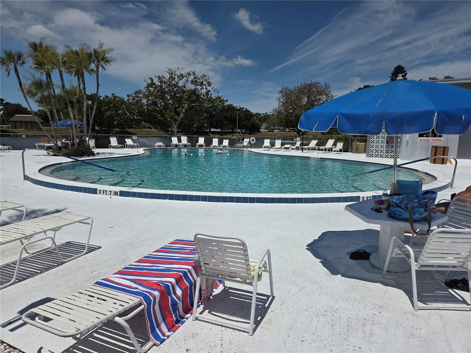 11225 82ND AVE #309, SEMINOLE, FL, 33772