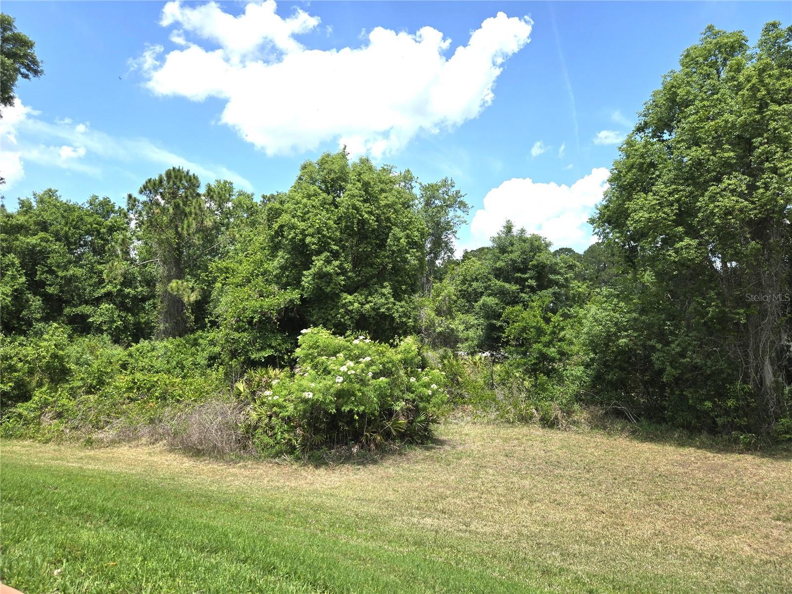 6433 WILANDER ST, LEESBURG, FL, 34748