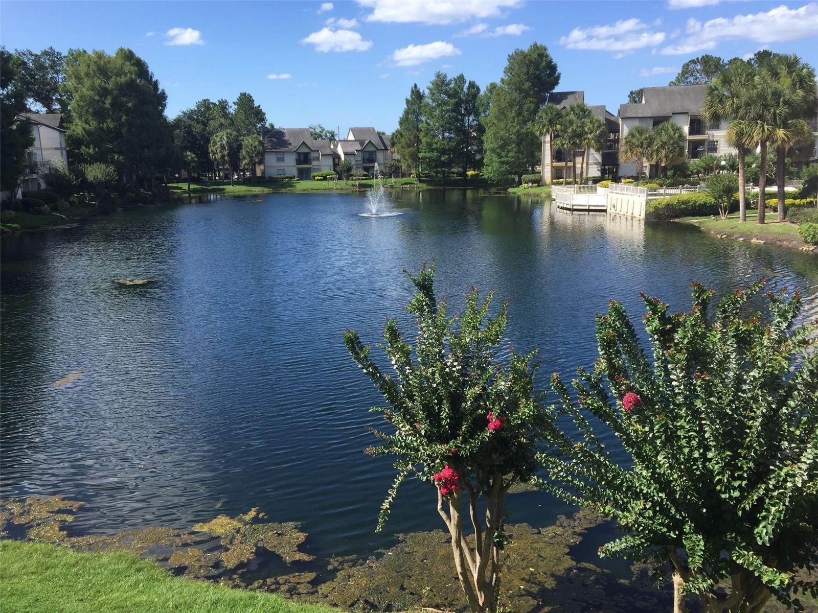 1908 LAKE ATRIUMS CIR #14, ORLANDO, FL, 32839