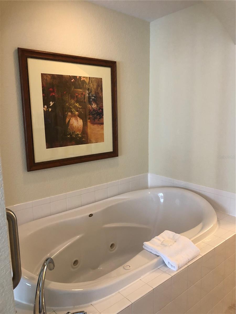 8101 RESORT VILLAGE DR #3411, ORLANDO, FL, 32821