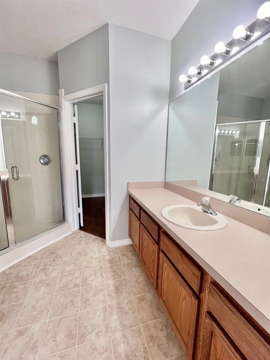 1039 BLACKWATER DR #1039, WESLEY CHAPEL, FL, 33543