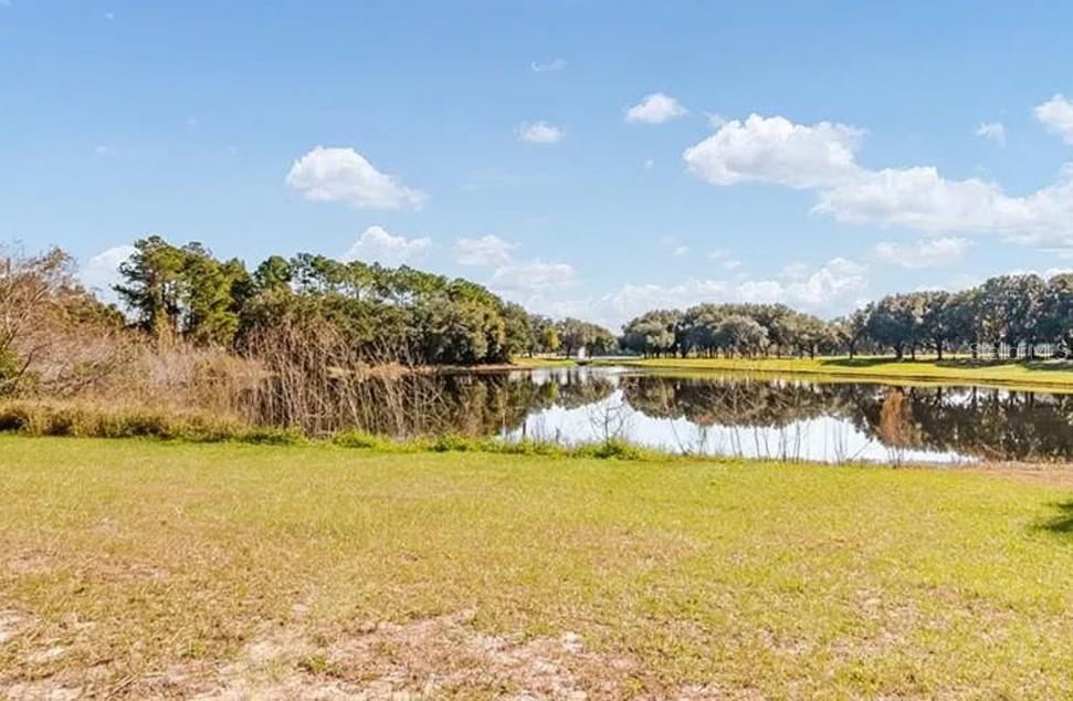9901 SANTA BARBARA CT, HOWEY IN THE HILLS, FL, 34737