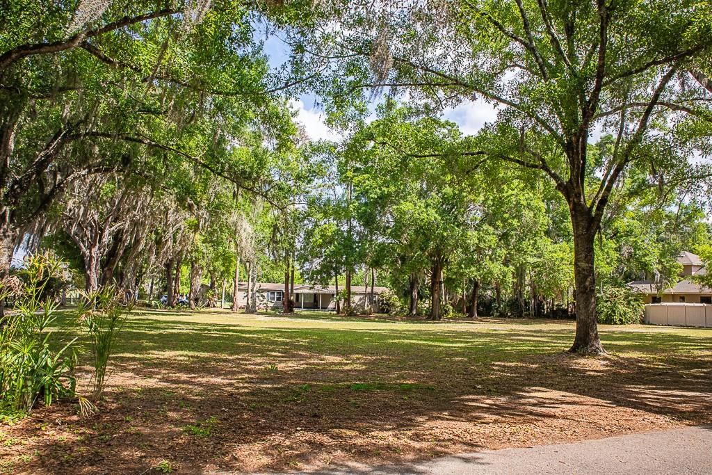 13815 PLAINVIEW RD, ODESSA, FL, 33556