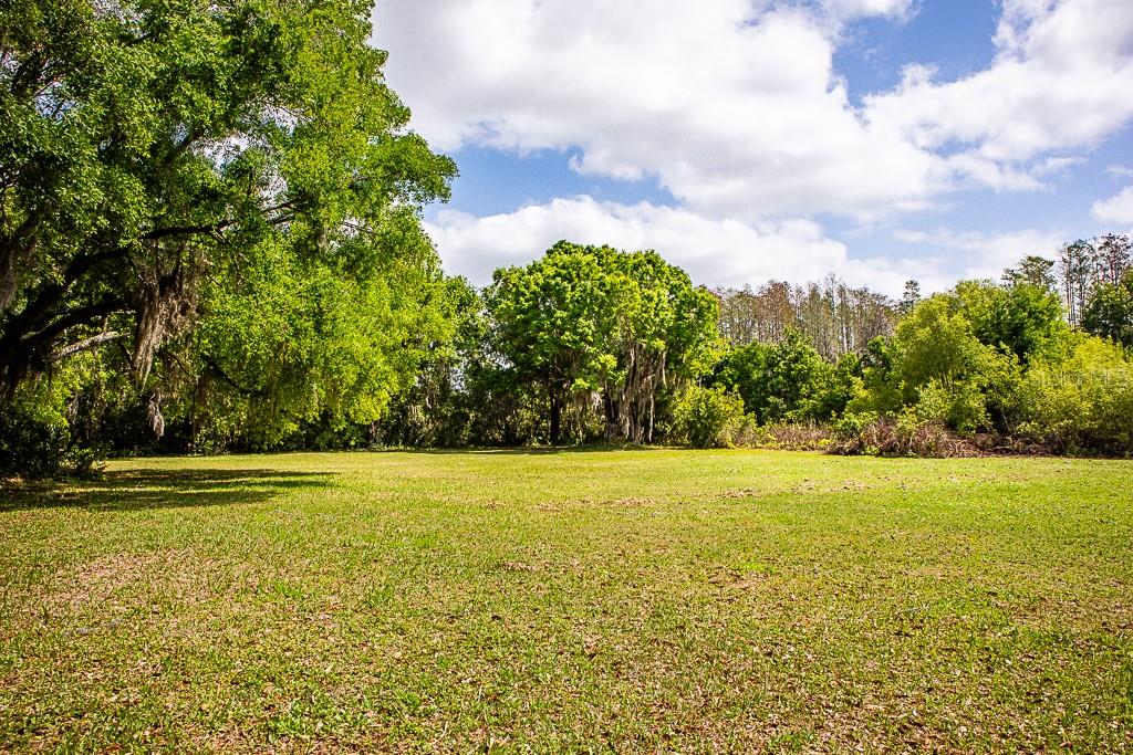 13815 PLAINVIEW RD, ODESSA, FL, 33556