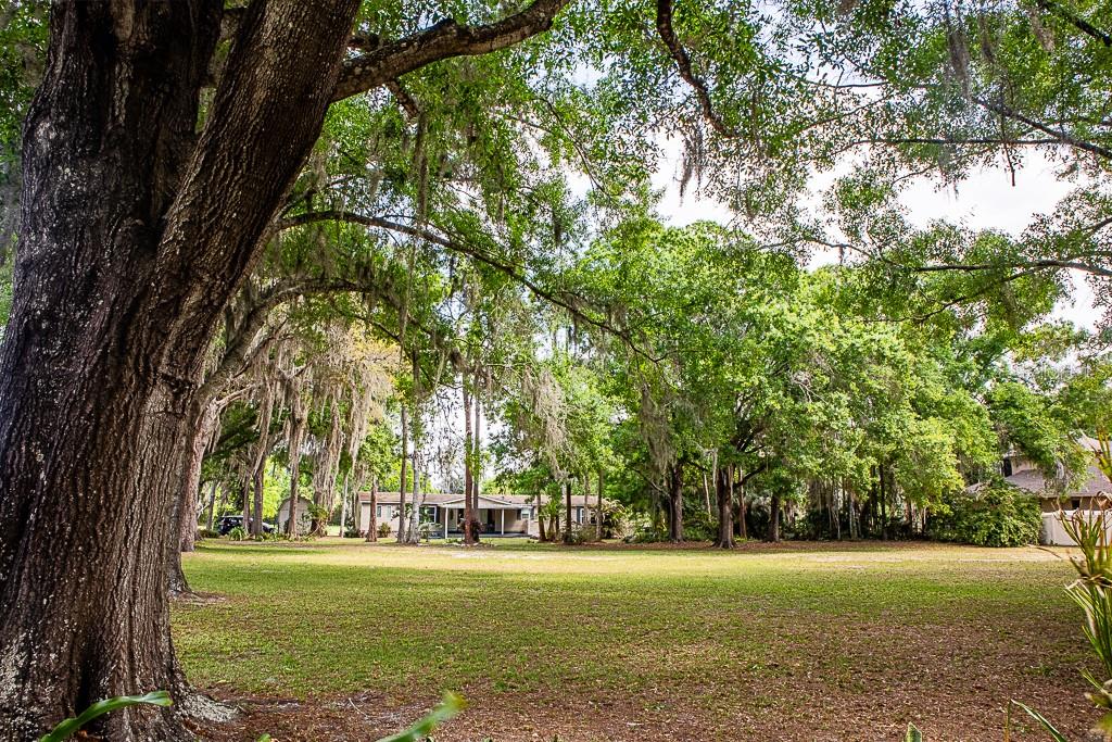 13815 PLAINVIEW RD, ODESSA, FL, 33556