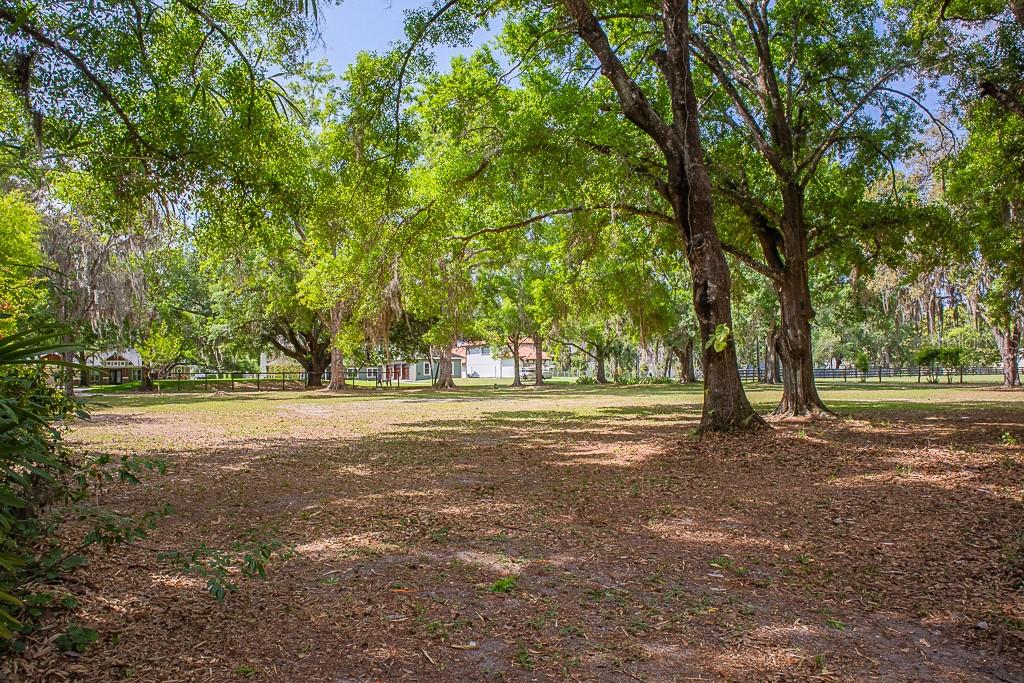 13815 PLAINVIEW RD, ODESSA, FL, 33556
