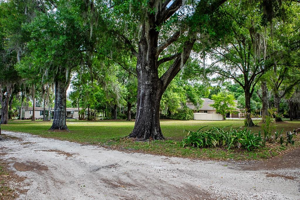 13815 PLAINVIEW RD, ODESSA, FL, 33556