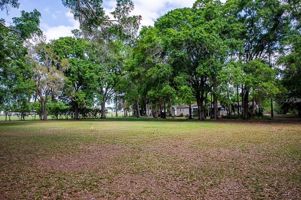 13815 PLAINVIEW RD, ODESSA, FL, 33556