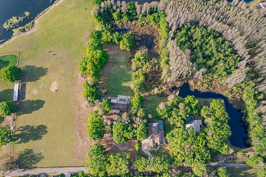 13815 PLAINVIEW RD, ODESSA, FL, 33556