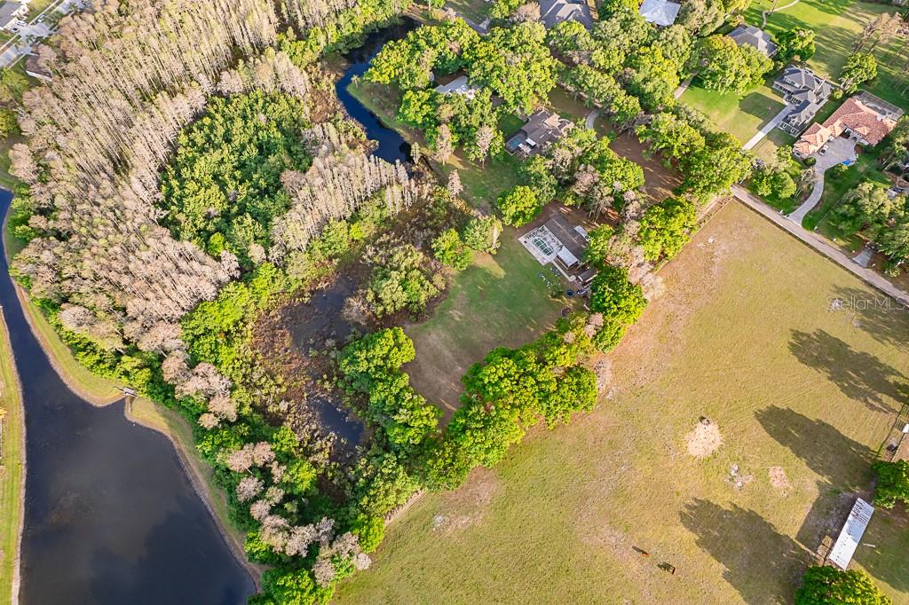 13815 PLAINVIEW RD, ODESSA, FL, 33556