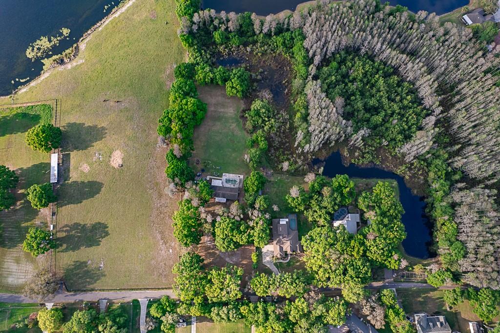 13815 PLAINVIEW RD, ODESSA, FL, 33556