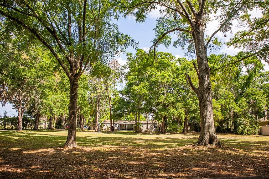 13815 PLAINVIEW RD, ODESSA, FL, 33556