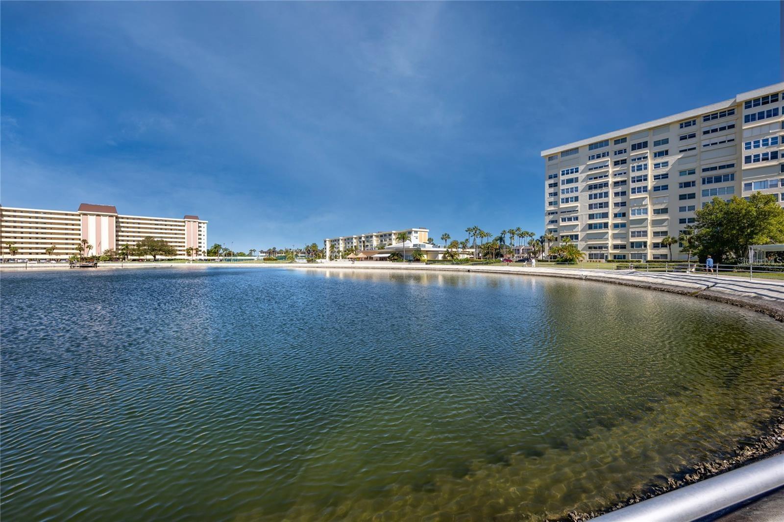 4550 COVE CIR #205, ST PETERSBURG, FL, 33708