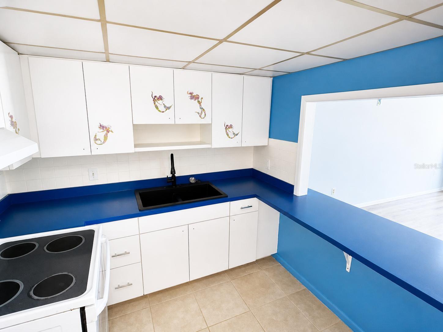 4550 COVE CIR #205, ST PETERSBURG, FL, 33708