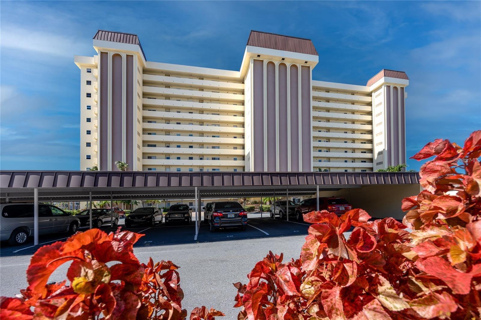 4550 COVE CIR #205, ST PETERSBURG, FL, 33708