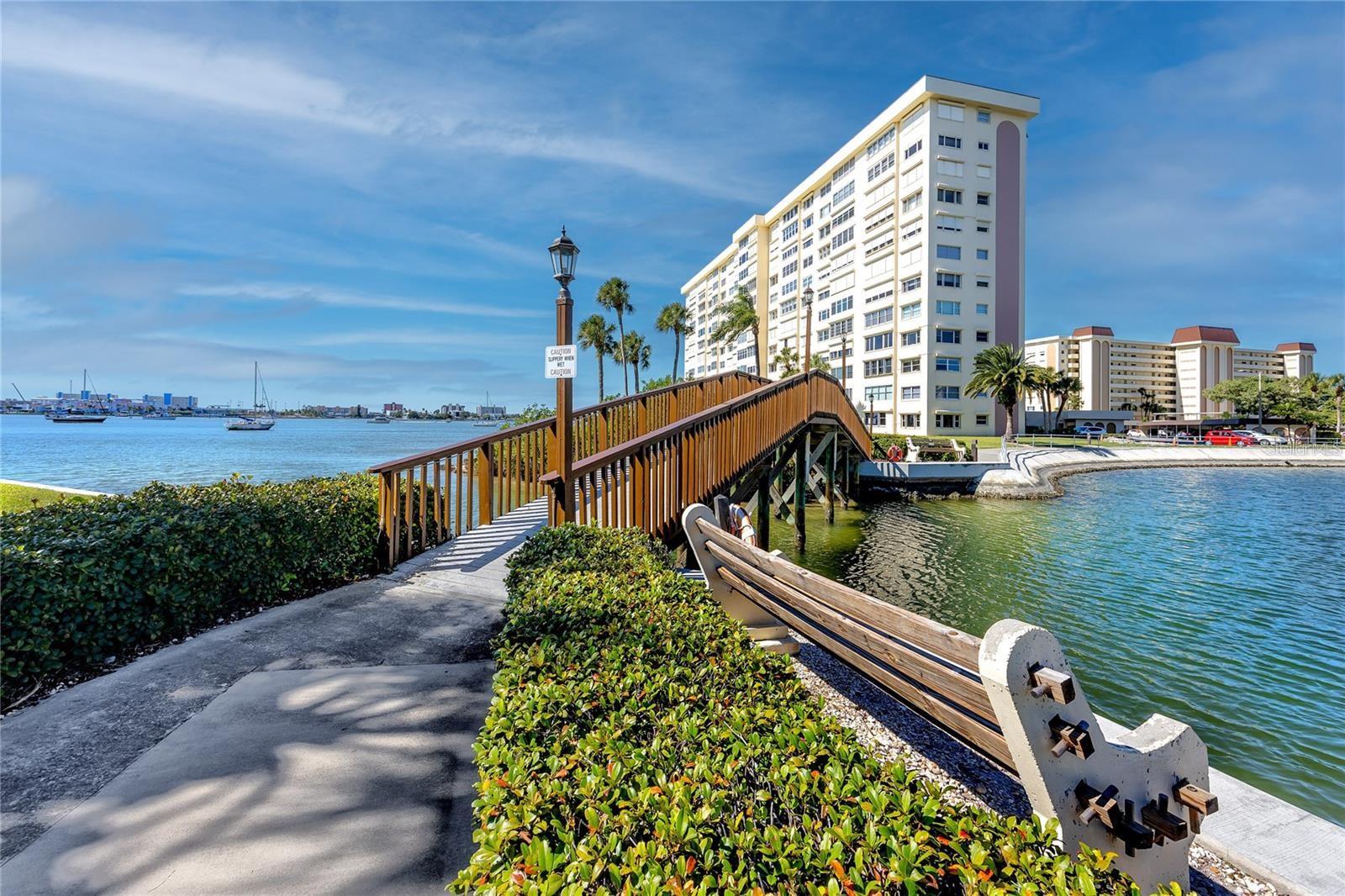 4550 COVE CIR #205, ST PETERSBURG, FL, 33708