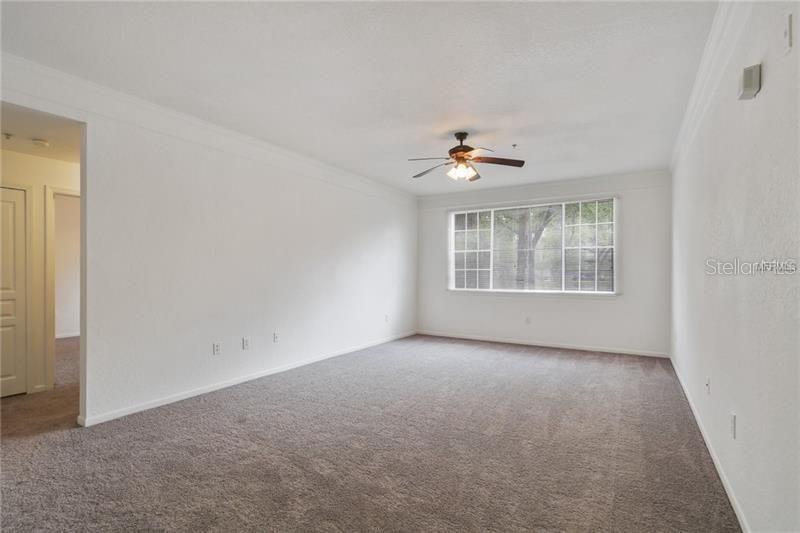 17114 CARRINGTON PARK DR #213, TAMPA, FL, 33647