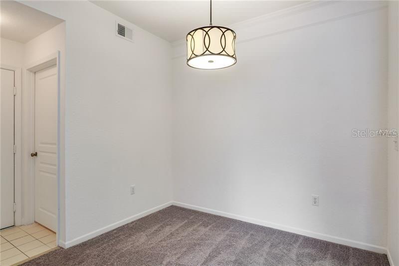 17114 CARRINGTON PARK DR #213, TAMPA, FL, 33647