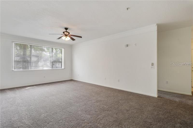 17114 CARRINGTON PARK DR #213, TAMPA, FL, 33647